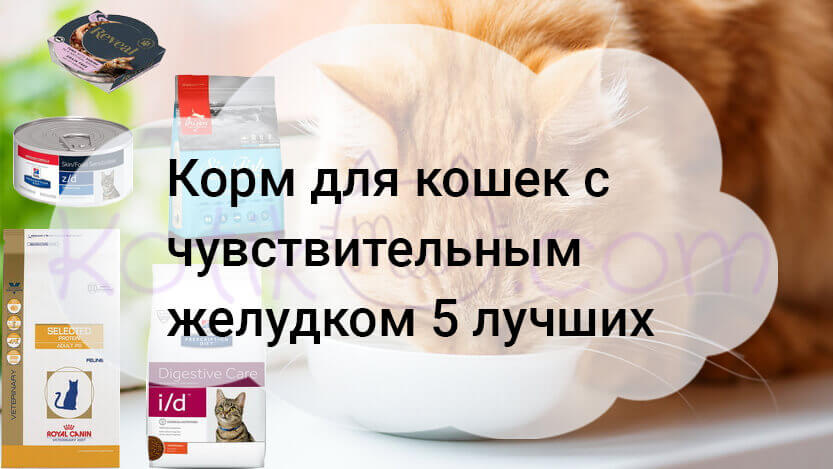 Read more about the article Корм для кошек с чувствительным желудком 5 лучших