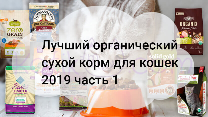 Read more about the article Лучший органический сухой корм для кошек 2019 часть 1