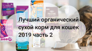 Read more about the article Лучший органический сухой корм для кошек 2019 часть 2