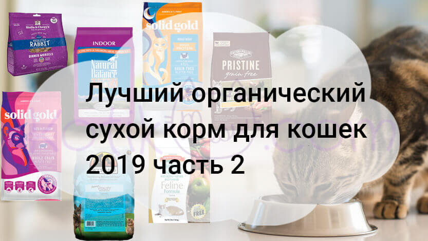 Read more about the article Лучший органический сухой корм для кошек 2019 часть 2