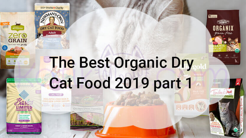 Read more about the article The Best Organic Dry Cat Food 2019 part 1