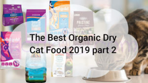 Read more about the article The Best Organic Dry Cat Food 2019 part 2
