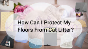 Read more about the article How Can I Protect My Floors From Cat Litter