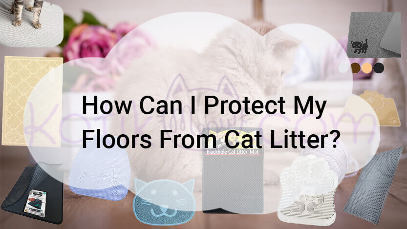 You are currently viewing How Can I Protect My Floors From Cat Litter
