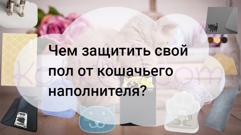 Read more about the article Чем защитить свой пол от кошачьего наполнителя