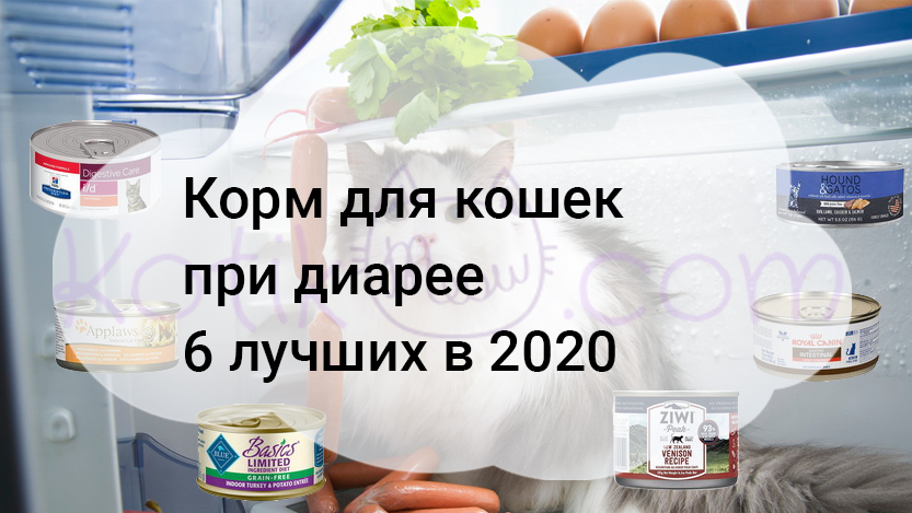 Read more about the article Корм для кошек при диарее 6 лучших в 2020