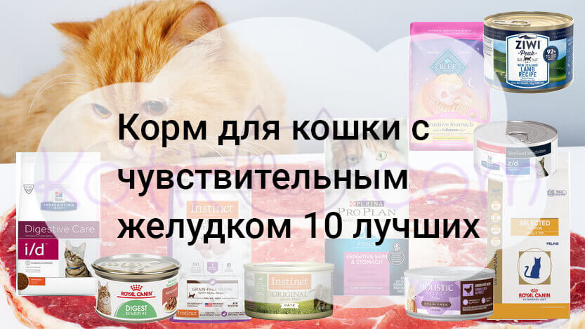 Read more about the article Корм для кошки с чувствительным желудком 10 лучших в 2020